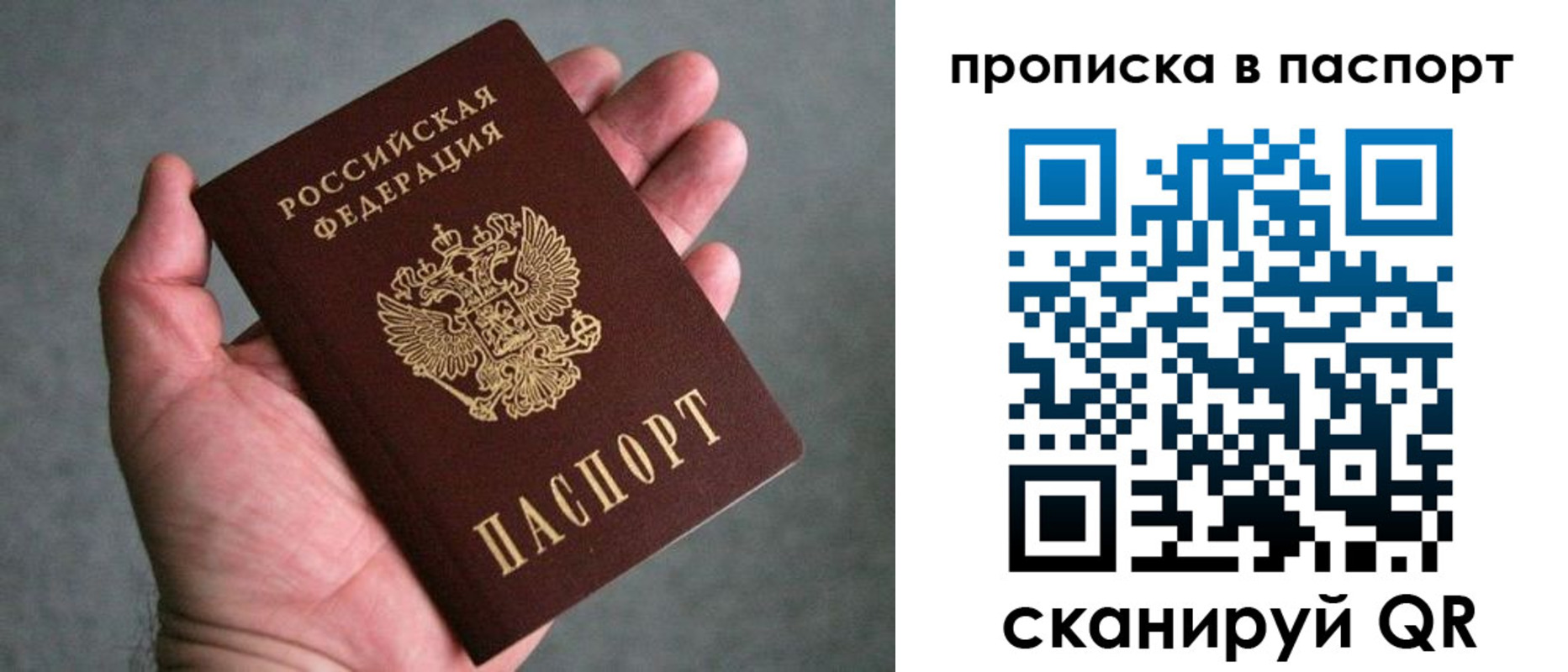 прописка гарантия в Тольятти